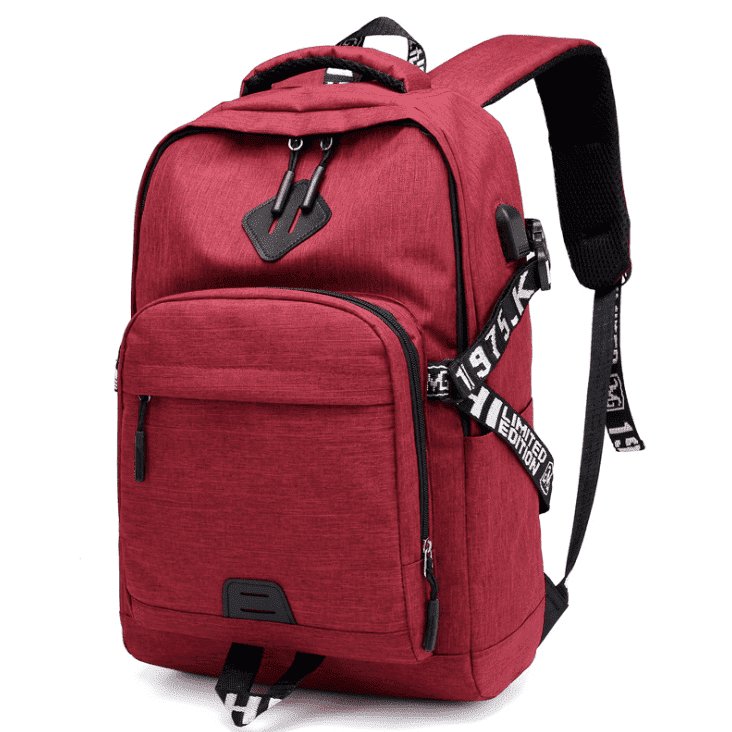 New Design Laptop Backpack - www.SharpDuds.com