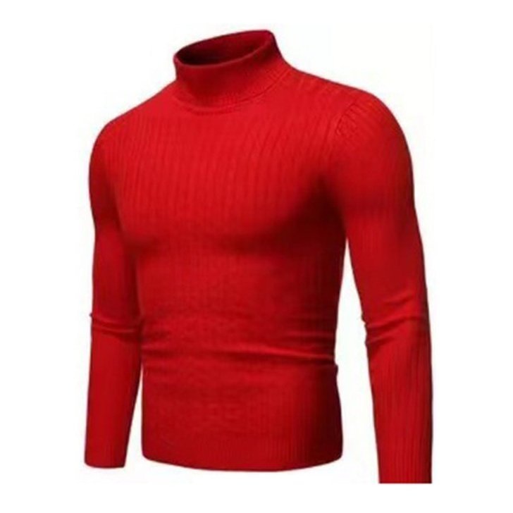 Warm Turtleneck Casual Slim Fit Sweaters - www.SharpDuds.com